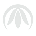 Pype Collection Limited 