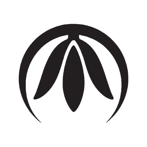 Pype Collection Limited 